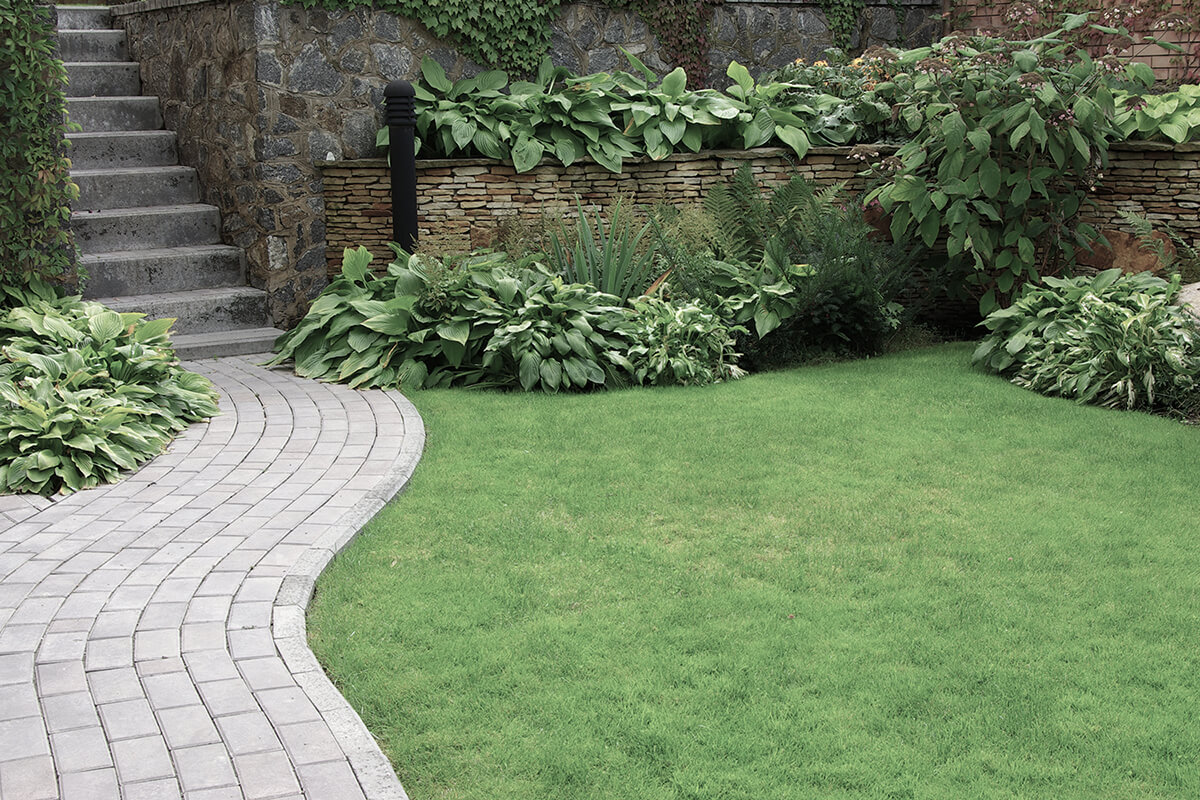 Welcome to Rhino Landscaping